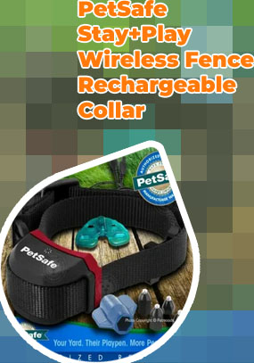 Petsafe stay and play wireless fence