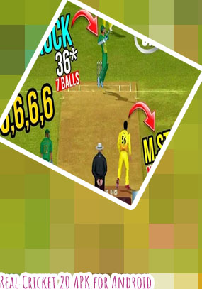 Real cricket 21 game